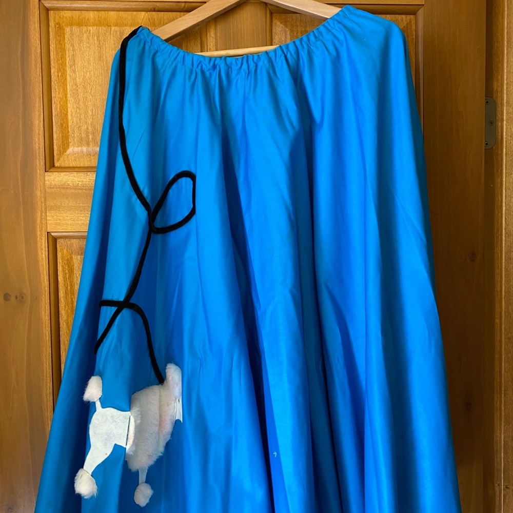 Poodle skirt with elastic waist band!